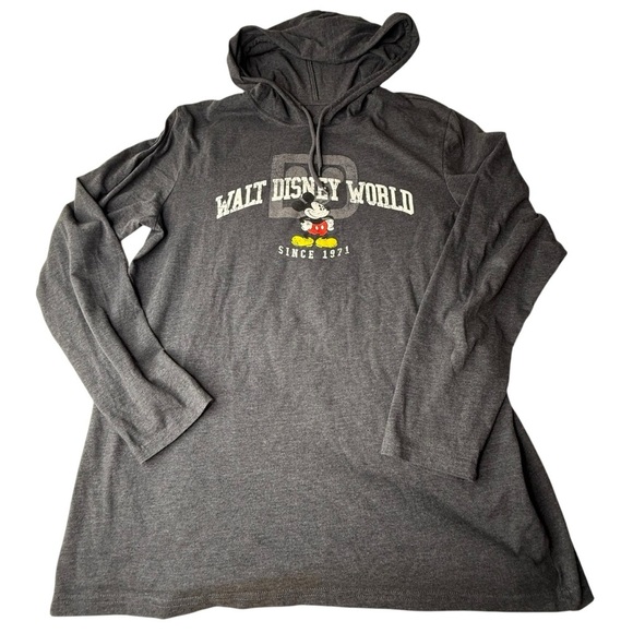 Walt Disney World Gray‎ Hoodie Large - Picture 1 of 3